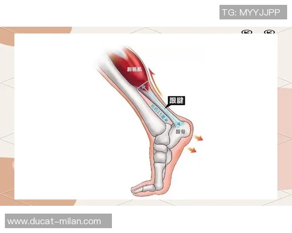 浓眉非对立伤退 疑似左腿遭受跟腱相关伤病